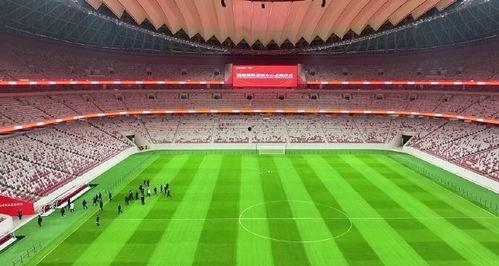 西安足球场爆料视频最新